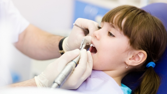 gallery/odontopediatr-a-en-sevilla